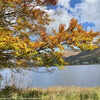 Buy canvas prints of Autumn at Grasmere Lake District by Ailsa Darragh
