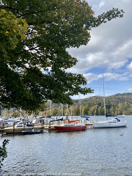 Boats on Lake Windermere Picture Board by Ailsa Darragh