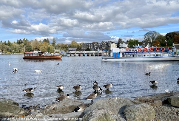 Bowness-on-Windermere  Picture Board by Ailsa Darragh