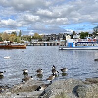 Buy canvas prints of Bowness-on-Windermere  by Ailsa Darragh