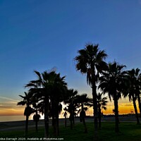 Buy canvas prints of Torre Del Mar Sunset by Ailsa Darragh