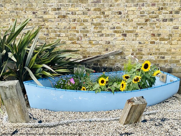 Burnham on Crouch Boat of Flowers Picture Board by Ailsa Darragh