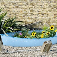 Buy canvas prints of Burnham on Crouch Boat of Flowers by Ailsa Darragh