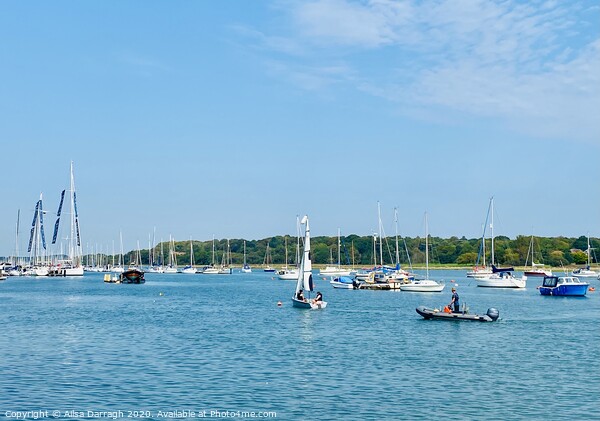 Hamble Harbour, Hampshire  Picture Board by Ailsa Darragh