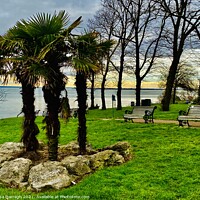 Buy canvas prints of Southend on Sea Cliff View by Ailsa Darragh