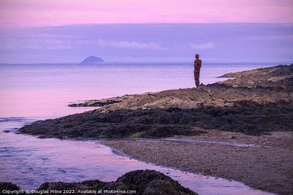 GRIP, Saddell Bay, Kintyre Picture Board by Douglas Milne