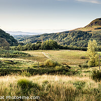 Buy canvas prints of Strathblane on the West Highland Way by Douglas Milne