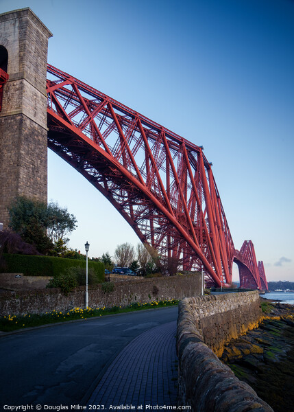 The Forth Bridge from North Queensferry Picture Board by Douglas Milne