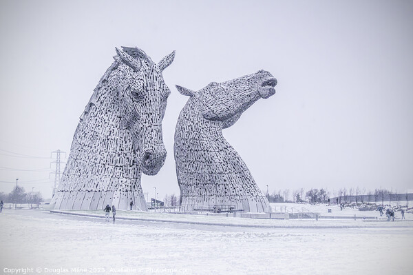Kelpies in the Snow Picture Board by Douglas Milne