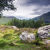 Buy canvas prints of Ben More from the West Highland Way by Douglas Milne