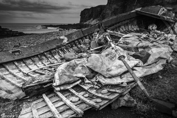 Wrecked boat, Auchmithie Picture Board by Douglas Milne