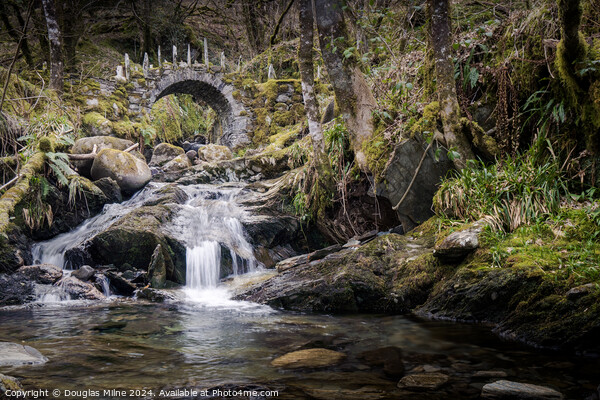 The Fairy Bridge, Glen Creran Picture Board by Douglas Milne