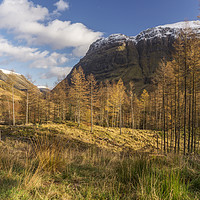 Buy canvas prints of Aonach Dubh by Douglas Milne