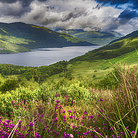 Buy canvas prints of Loch Lomond from the Slopes of Ben Lomond by Douglas Milne