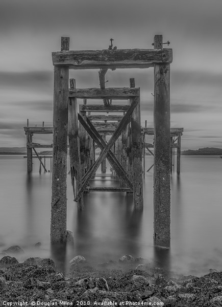 Hawkcraig Pier, Aberdour Picture Board by Douglas Milne