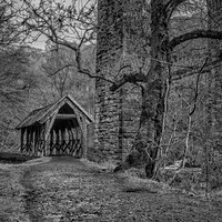 Buy canvas prints of Almondell Country Park Shelter by Douglas Milne