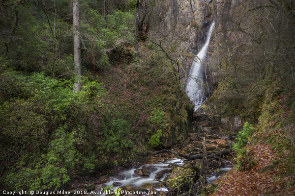 The Grey Mare's Tail Waterfall, Kinlochleven Picture Board by Douglas Milne