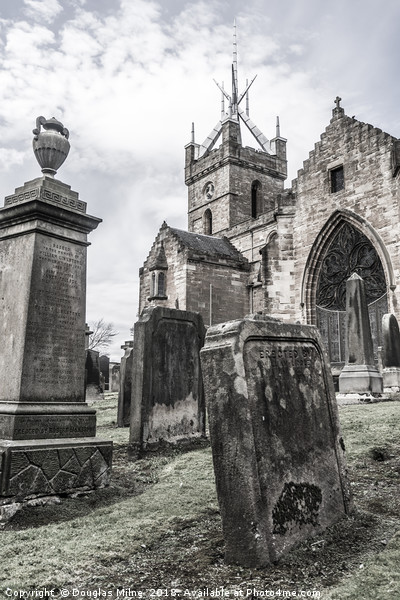 St.Michael's Parish Church, Linlithgow Picture Board by Douglas Milne