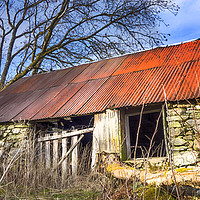 Buy canvas prints of Ruined Cottage, Lochearnhead by Douglas Milne