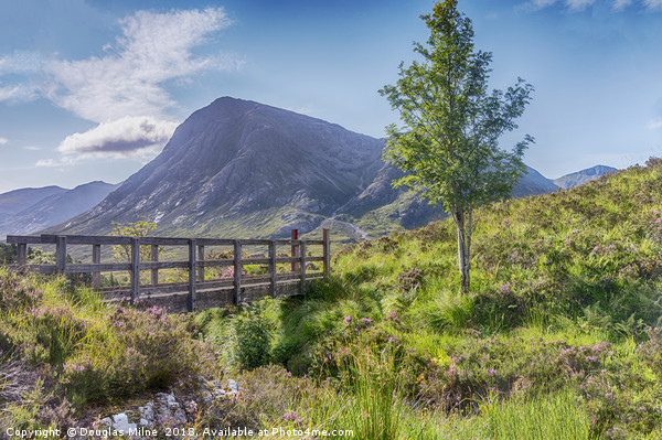 Buachaille Etive Mòr from The Devil's Staircase Picture Board by Douglas Milne