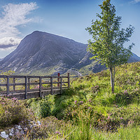 Buy canvas prints of Buachaille Etive Mòr from The Devil's Staircase by Douglas Milne