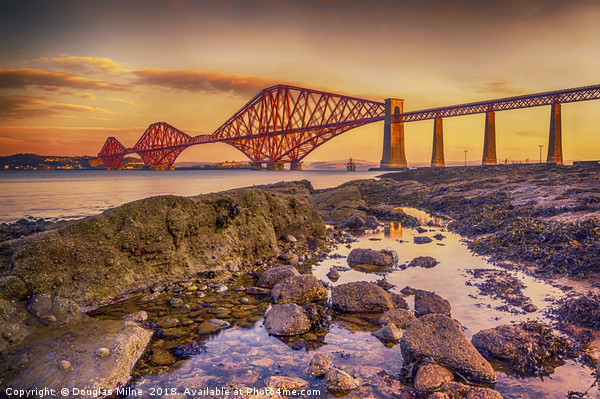 Sunrise over the Forth Bridge Picture Board by Douglas Milne