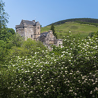 Buy canvas prints of Castle Campbell by Douglas Milne
