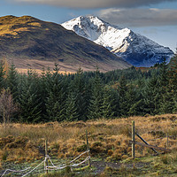 Buy canvas prints of Ben Lui from Dalrigh by Douglas Milne