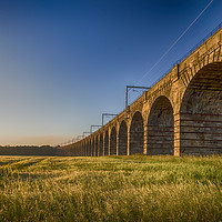 Buy canvas prints of The Almond Valley Viaduct by Douglas Milne
