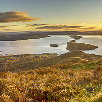 Buy canvas prints of Sunset over Loch Lomond by Douglas Milne