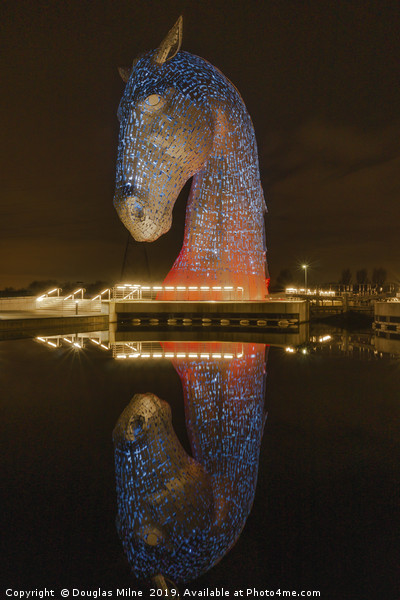 Kelpies Reflections Picture Board by Douglas Milne