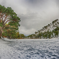 Buy canvas prints of The Green Lochan in the Snow by Douglas Milne