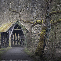 Buy canvas prints of Under the Bridge by Douglas Milne