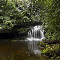 Buy canvas prints of West Burton Falls also known as Cauldron Force by William A Dobson