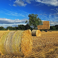 Buy canvas prints of Straw Bales and Trailer by William A Dobson