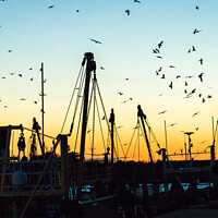 Buy canvas prints of Silhouette of fishing boats and birds by Clive Wells