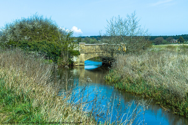 Bridge over the river Babingley Picture Board by Clive Wells