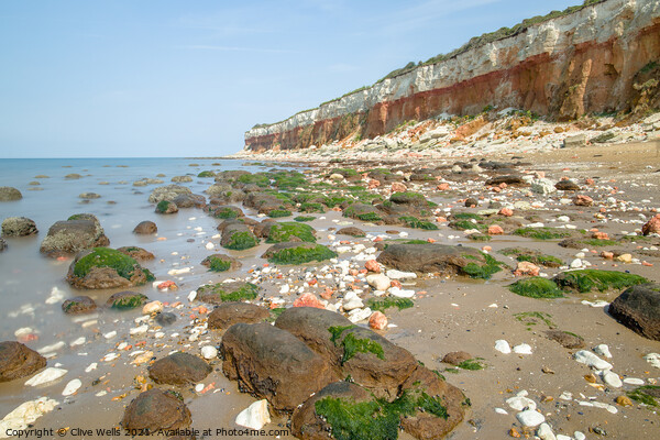 Hunstanton cliffs Picture Board by Clive Wells