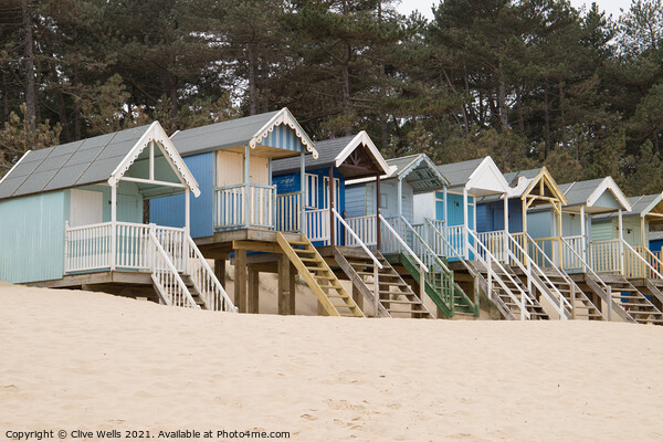 Row of beach huts against the pine trees Picture Board by Clive Wells
