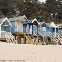 Buy canvas prints of Row of beach huts against the pine trees by Clive Wells
