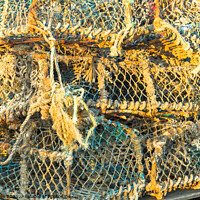 Buy canvas prints of Fishing baskets by Clive Wells