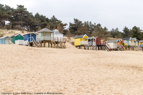 Coloured beach huts on the sand dunes Picture Board by Clive Wells