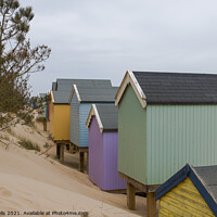 Buy canvas prints of Beach huts in the dunes by Clive Wells