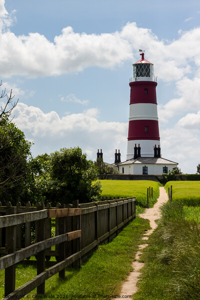 Happisburgh lighthouse at the end of the path Picture Board by Clive Wells