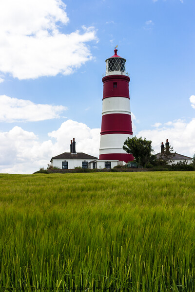 Happisburgh lighthouse   Picture Board by Clive Wells