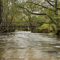 Buy canvas prints of Wooden footbridge at Dovedale by Clive Wells