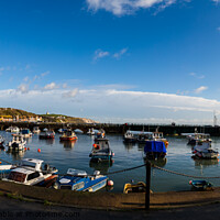 Buy canvas prints of Folkestones inner harbour seen in pano by Clive Wells