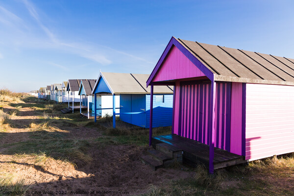 Lovely coloured beach hut  Picture Board by Clive Wells