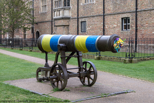 The cannon Ukrainan colours. Picture Board by Clive Wells