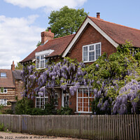 Buy canvas prints of Wisteria covered house by Clive Wells